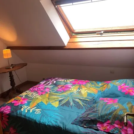 Charmant Avec Piscine A Honfleur 아파트